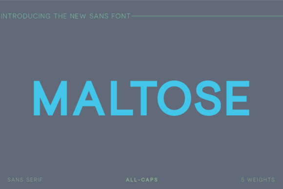 Maltose Font: A Modern Sans Serif for Campaigns